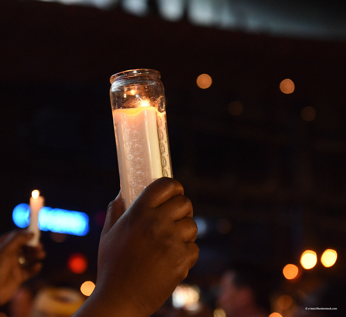 Mass Violence and Terrorism