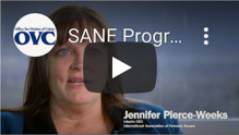 Screenshot of SANE Program Development and Operation Guide Video