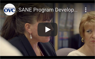 Screenshot of SANE: Multidisciplinary Approach Video